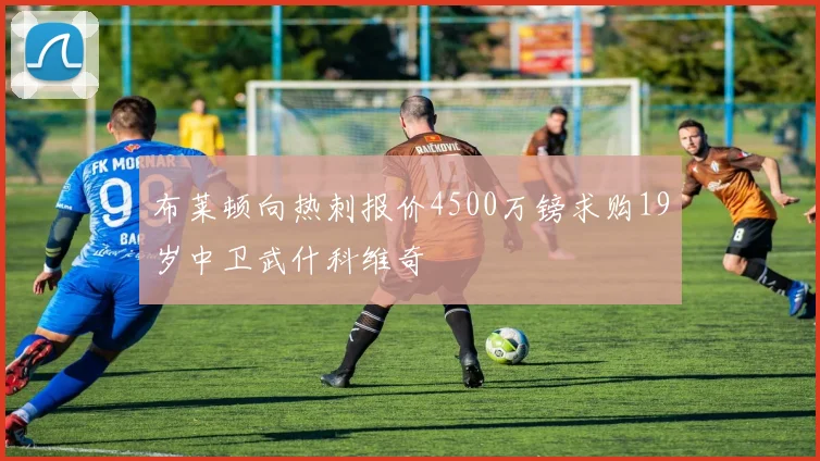 布莱顿向热刺报价4500万镑求购19岁中卫武什科维奇