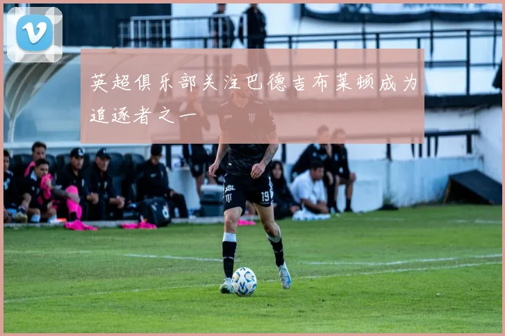英超俱乐部关注巴德吉布莱顿成为追逐者之一